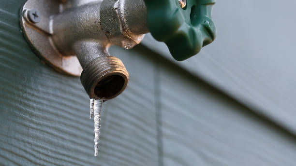 Best Commercial Plumbing Services  in Franklin, TN